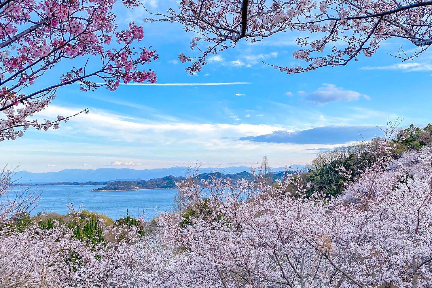 Lemon Farm Glamping Simanami Villa Onomichi Bagian luar foto